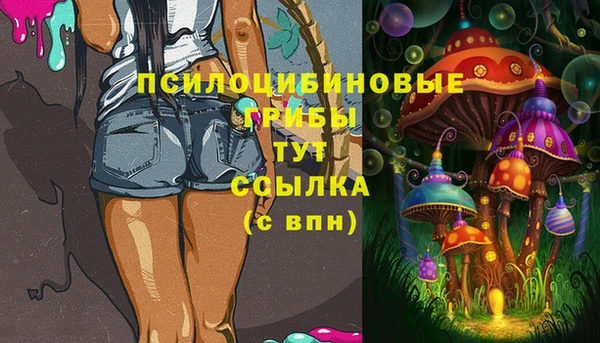 хмурый Алексеевка